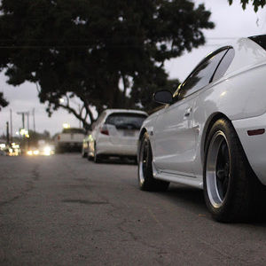 Meet your Posher, Adam